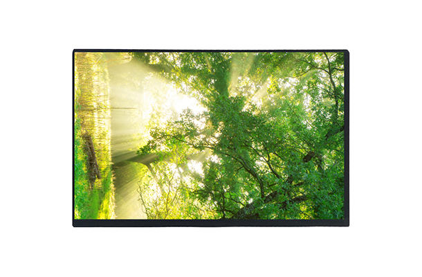 10.1寸1920*1200 LCD液晶顯示屏，為什么成為高端平板和商用設(shè)備的新標(biāo)準(zhǔn)？